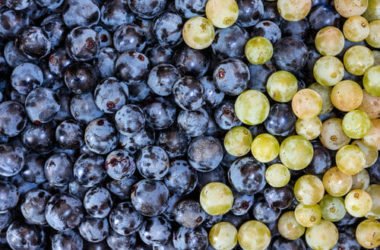 A cosa servono i solfiti nel vino e perché nel biologico si cerca di farne a meno