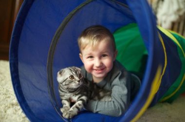 I consigli pratici per i nostri giochi con gatti