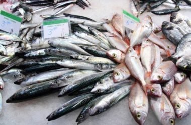 Spreco alimentare: i consigli per non sprecare cibo