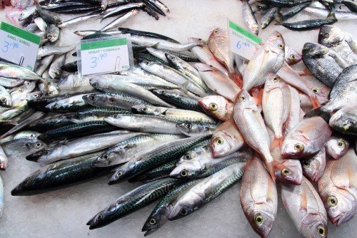 Spreco alimentare: i consigli per non sprecare cibo
