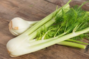 Finocchio: proprietà e utilizzi in fitoterapia e in cucina