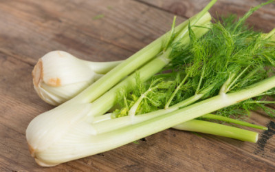 Finocchio: proprietà e utilizzi in fitoterapia e in cucina