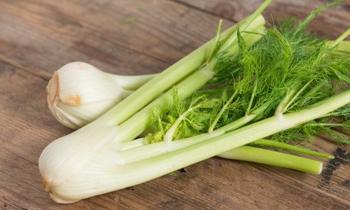 Finocchio: proprietà e utilizzi in fitoterapia e in cucina