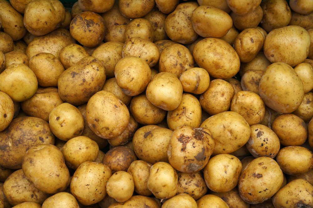 Tipi di patate come sceglierle e quali varietà ci sono Tipi di patate come sceglierle e quali varietà ci sono