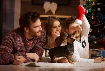 Ecco come addestrare un cane a non mordere i bambini