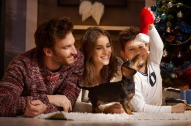 Come addestrare un cane a non mordere i bambini