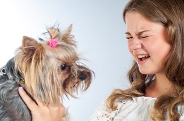 Come addestrare un cane a non mordere i bambini