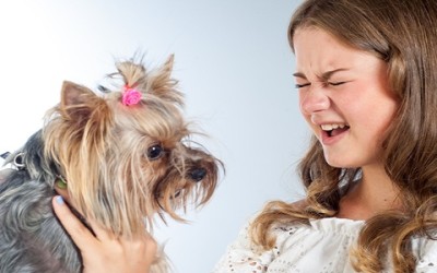 Come addestrare un cane a non mordere i bambini