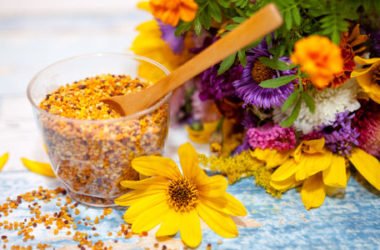 Tutto sul polline, dai valori nutrizionali alle proprietà e gli usi nelle terapie naturali
