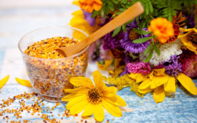 Tutto sul polline, dai valori nutrizionali alle proprietà e gli usi nelle terapie naturali