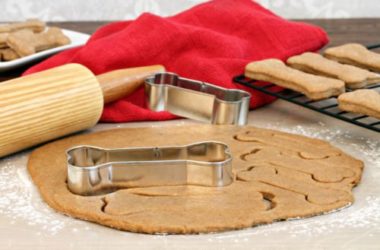 Come fare i biscotti per cani: due ricette facili