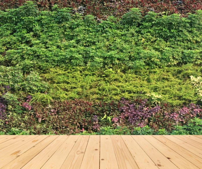 Cosa è un giardino verticale: tecniche e benefici dei muri vegetali ... Giardini verticali per interni
