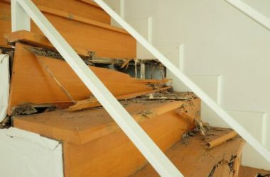 Esistono rimedi naturali contro le termiti realmente efficaci? La guida facile