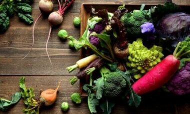 I lavori dell’orto di dicembre: cosa seminare, raccogliere e potare