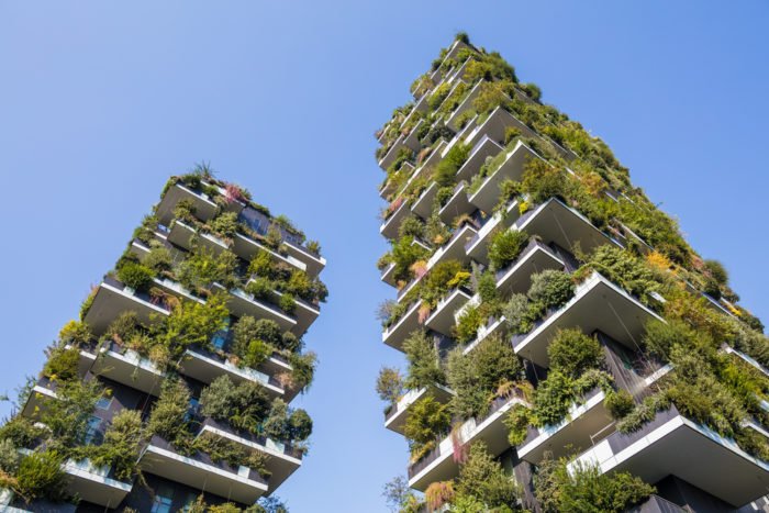Cosa è un giardino verticale: tecniche e benefici dei muri vegetali ... Giardino in verticale