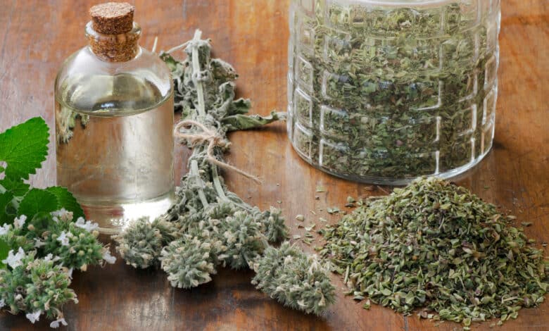 Benefici e proprietà della nepeta cataria o erba gatta