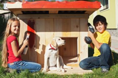 Cucce per cani e gatti, ecologiche, da interno e da giardino