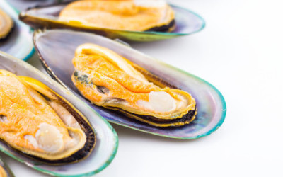 Perché mangiare cozze crude è pericoloso?
