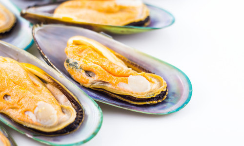 I Cani Possono Mangiare Le Cozze
