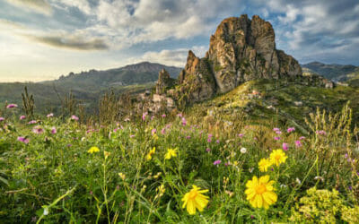 Il Parco Naturale delle Serre tra Sila ed Aspromonte