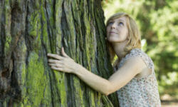 Abbracciare gli alberi: scopriamo la silvoterapia conosciuta anche come tree hugging