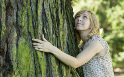 Abbracciare gli alberi: scopriamo la silvoterapia conosciuta anche come tree hugging