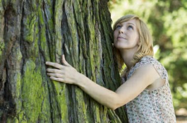 Abbracciare gli alberi: scopriamo la silvoterapia