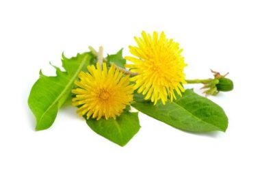 Combattere la ritenzione idrica con alcuni rimedi naturali semplici ed efficaci