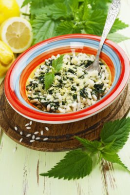Il risotto alle ortiche, un piatto leggero, salutare e nutriente: la ricetta facile