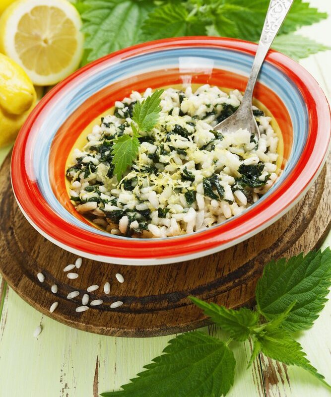 risotto alle ortiche