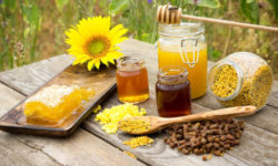 Propoli proprietà e utilizzo nelle terapie naturali