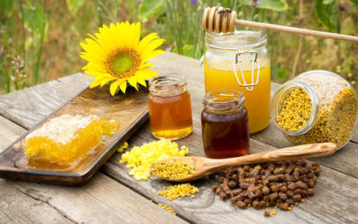 Propoli proprietà e utilizzo nelle terapie naturali