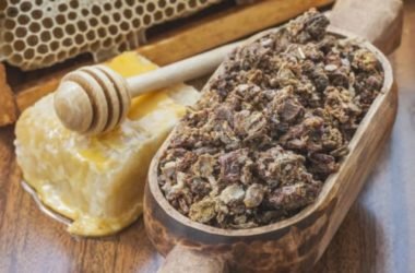 Propoli proprietà e utilizzo nelle terapie naturali