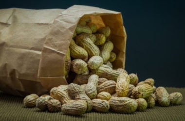 Arachidi proprietà e utilizzi di questo frutto