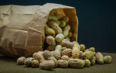 Arachidi proprietà e utilizzi di questo frutto
