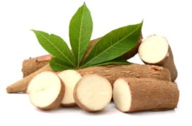 Yucca proprietà e benefici per la salute