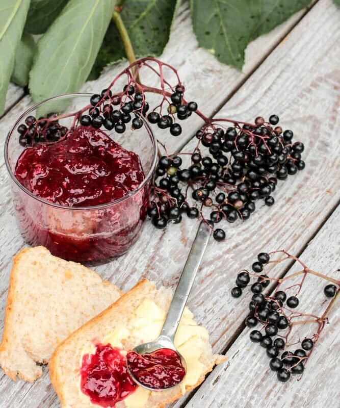 marmellata di sambuco