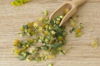 Proprietà e controindicazioni della verga d’oro, alleata naturale della linea