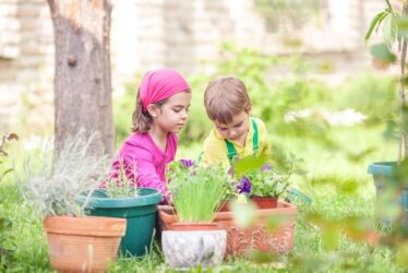 Orti didattici, cosa sono e dove si fanno?