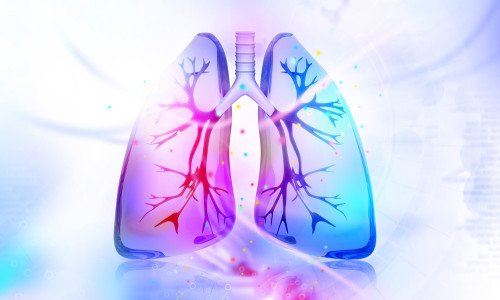 Come pulire i polmoni dal fumo in modo naturale