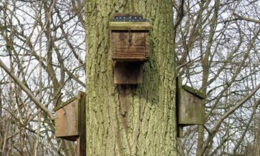 Trappole per zanzare fai-da-te