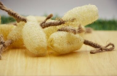 Luffa, la spugna vegetale che possiamo coltivare anche noi