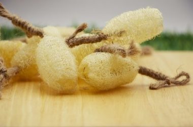 Luffa, la spugna vegetale che possiamo coltivare anche noi