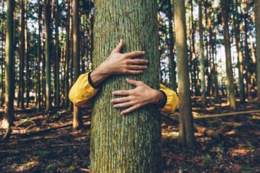 Abbracciare gli alberi: scopriamo la silvoterapia