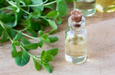 Quello che c’è da sapere sulla maggiorana, un’erba aromatica dalle molteplici proprietà