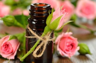 Tutte le proprietà dell’olio essenziale di rosa e i suoi utilizzi principali
