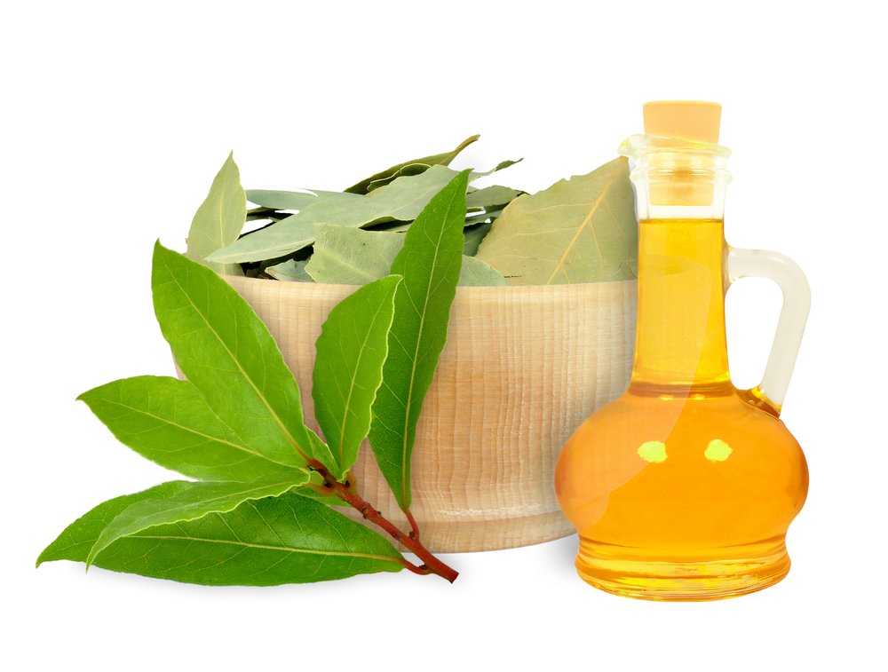 propriétés et utilisations du laurier en cosmétique, y compris son huile