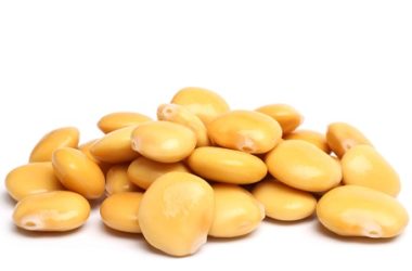 Scopriamo tutte le proprietà dei lupini, come si mangiano e si seminano questi legumi resi famosi dai Malavoglia