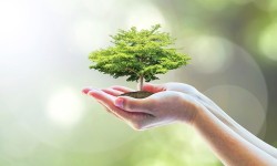 5 prodotti riciclati dai rifiuti organici
