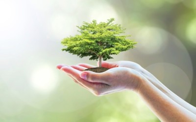 5 prodotti riciclati dai rifiuti organici